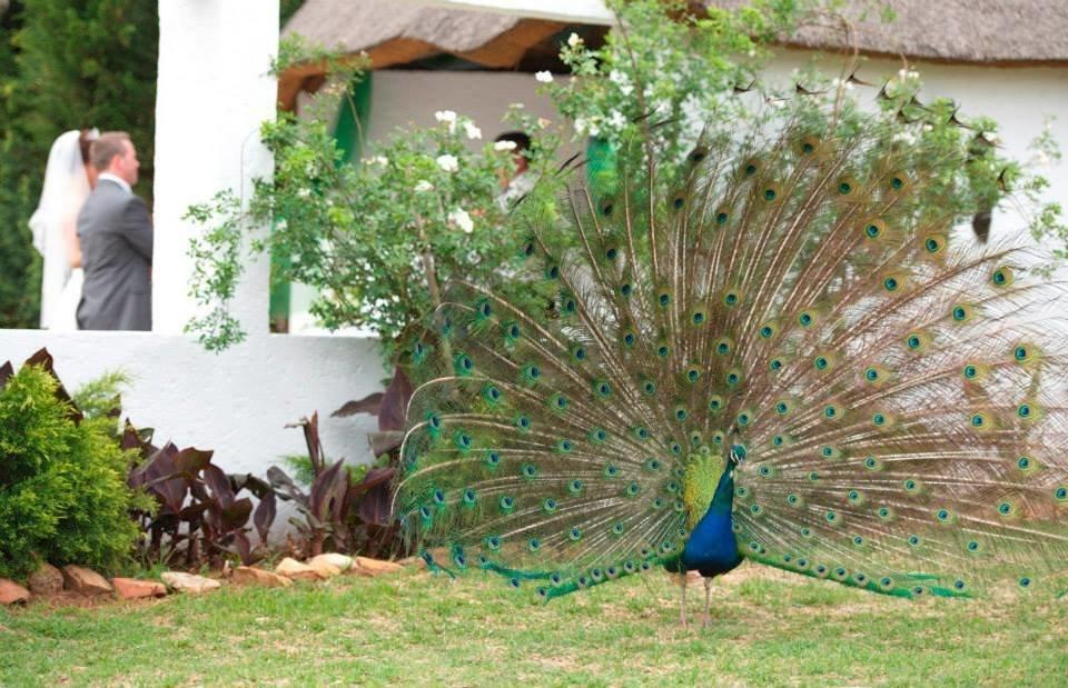 Warembo Lodge Grootvlei Luaran gambar